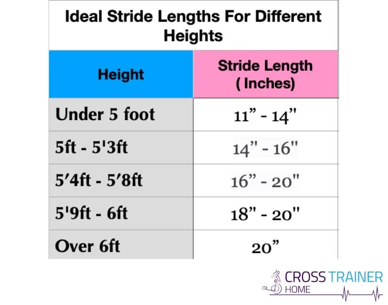 Ideal Stride Lengths For Different Heights